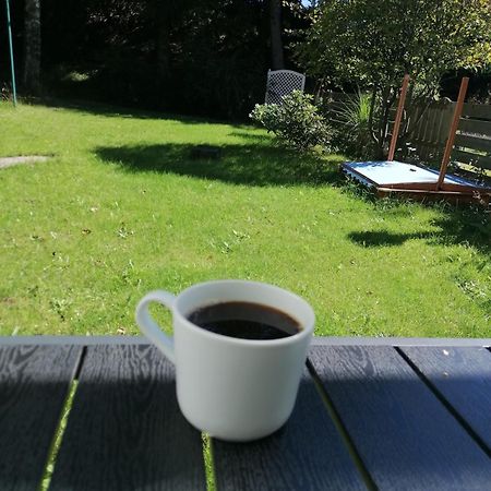 זנקט אנדריאסברג Ferienhaus Hoher Weg - Urlaub, Wandern, Downhill Und Workation Am Nationalpark Harz מראה חיצוני תמונה