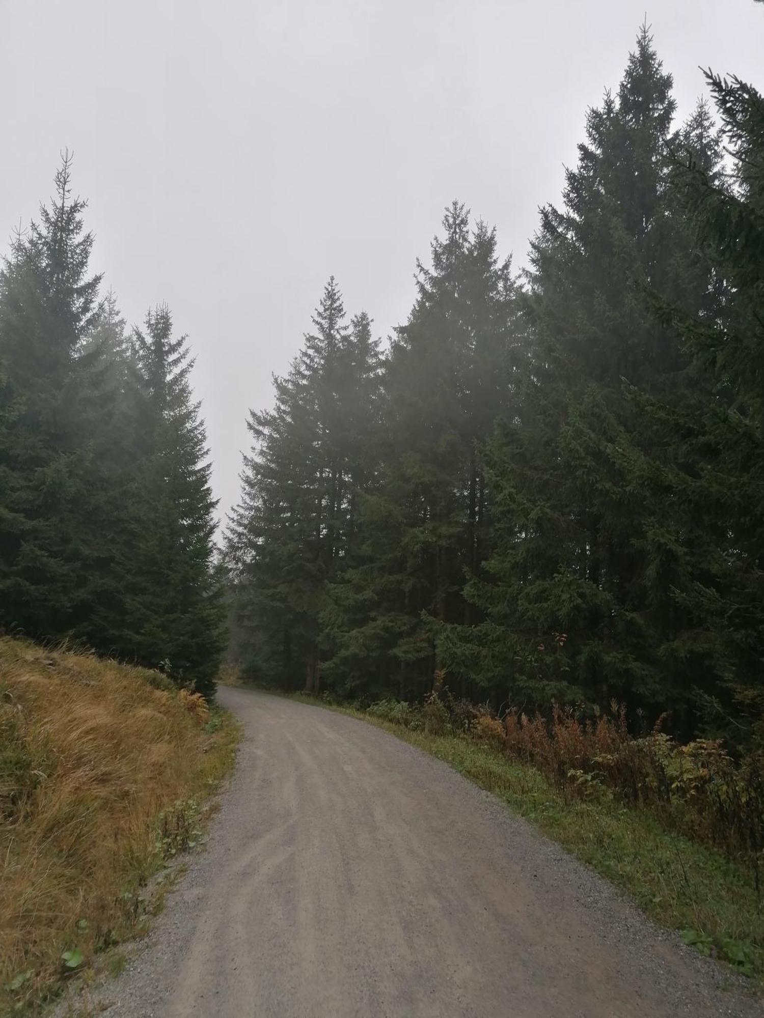 זנקט אנדריאסברג Ferienhaus Hoher Weg - Urlaub, Wandern, Downhill Und Workation Am Nationalpark Harz מראה חיצוני תמונה