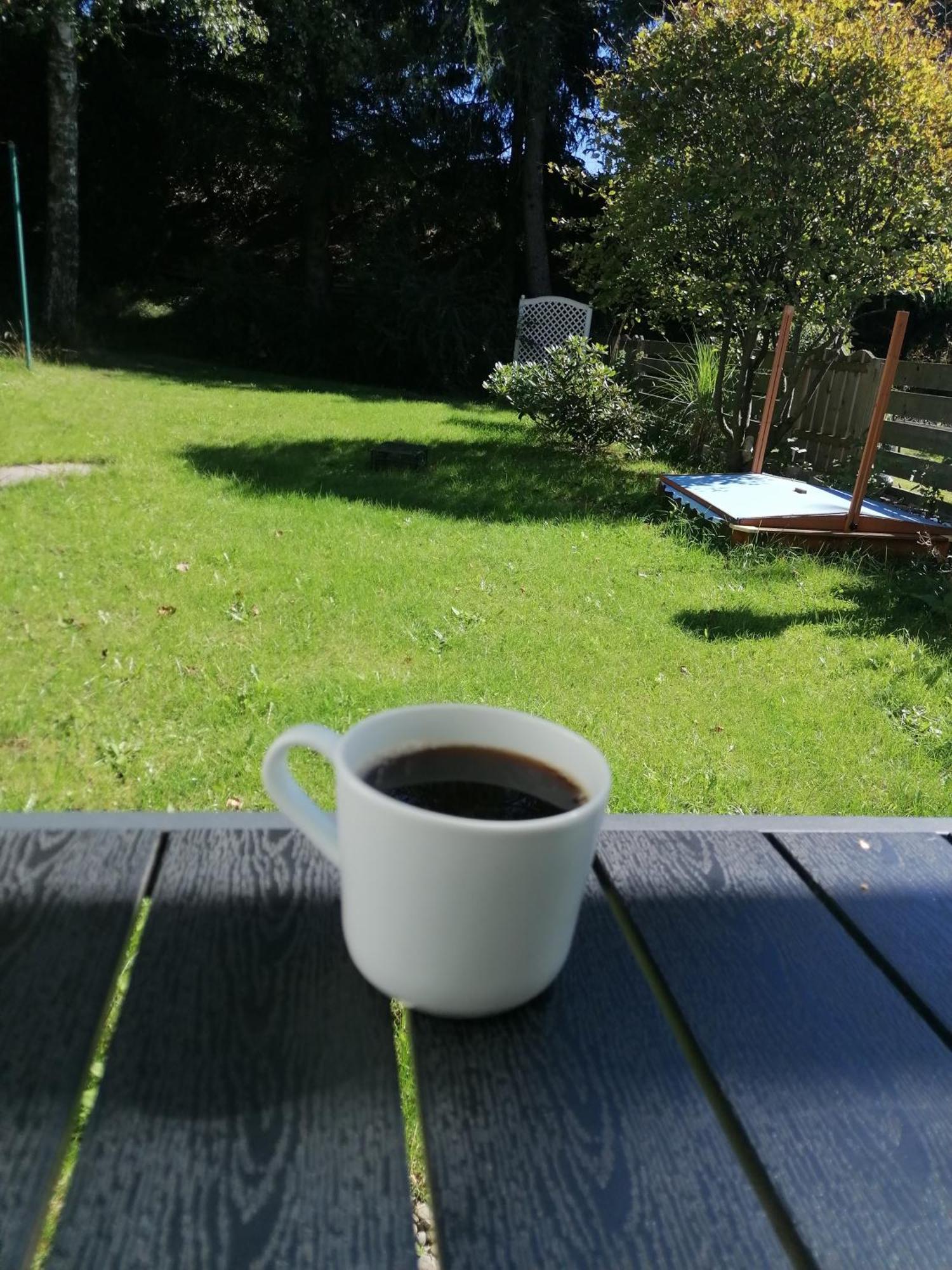 זנקט אנדריאסברג Ferienhaus Hoher Weg - Urlaub, Wandern, Downhill Und Workation Am Nationalpark Harz מראה חיצוני תמונה